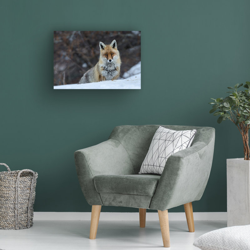 Art sur toile renard bolich, Jure Jauregui, H 12 po x l 19 po
