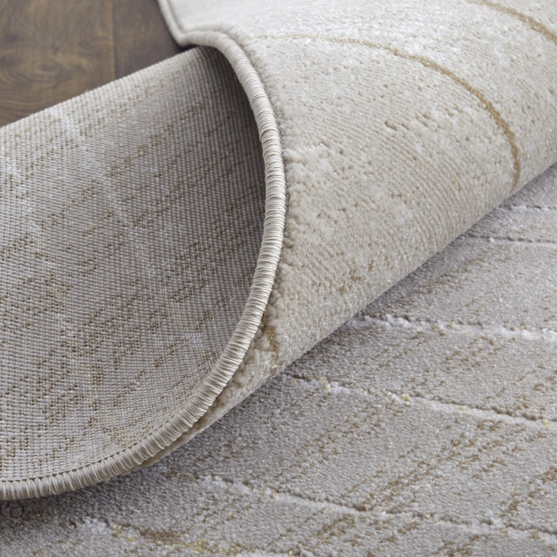 Vanhorn Modern Abstract, Taupe/Brown/Silver, Rectangle 8' x 10'