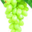 Grappe de raisin Grasmere-29363610-29691937