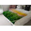 Domash Plain Weave / Muslin Throw Blanket