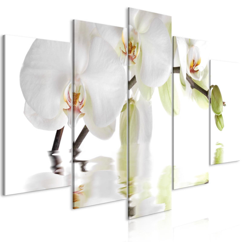 Floral Botanical - 5 pièces sur toile tendue, H 20 po x l 40 po x P 0,7 po