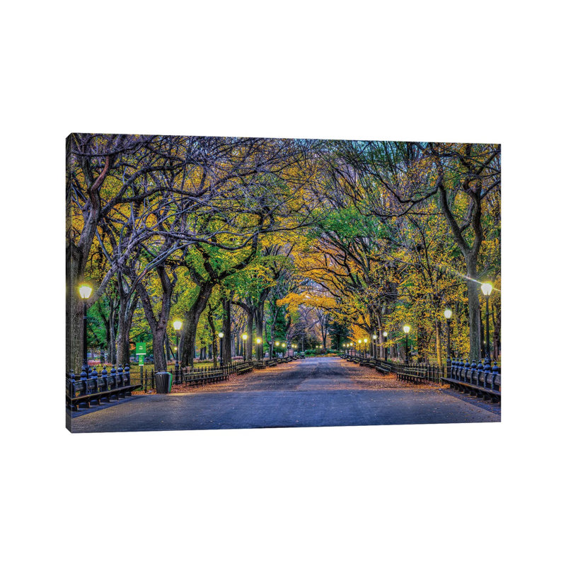 Central Park Night by David Gardiner - Print on Canvas, 30.48 cm H x 45.72 cm W, Wrapped Canvas