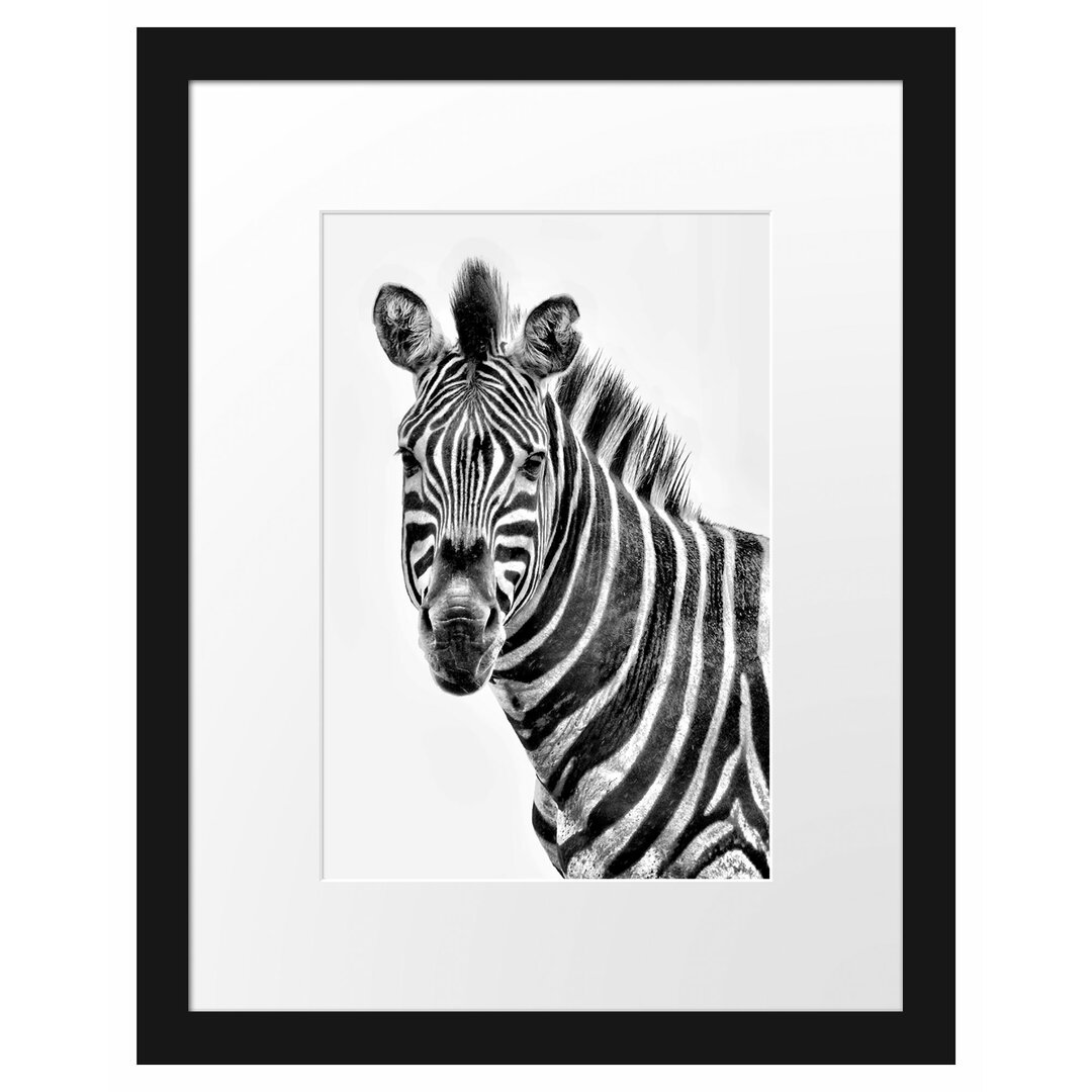 Gerahmtes Poster Zebra im Portrait