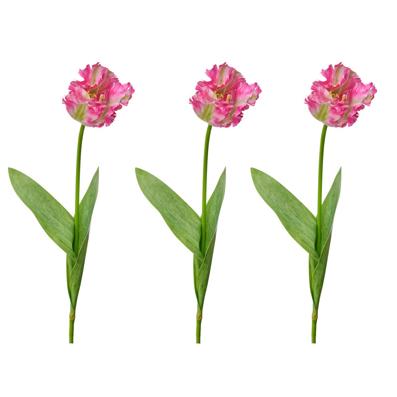 Perroquet doux au toucher 28 po , Rose