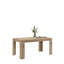 Gulwasha Extendable Dining Table-73256878