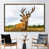 Gold Floater Framed selected