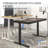 Landaverde 55"x28" Dual Motors Height Adjustable Standing Desk Wireless Charging with Drawer-217276357-205472703