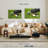Golf Gear Set-1548483011
