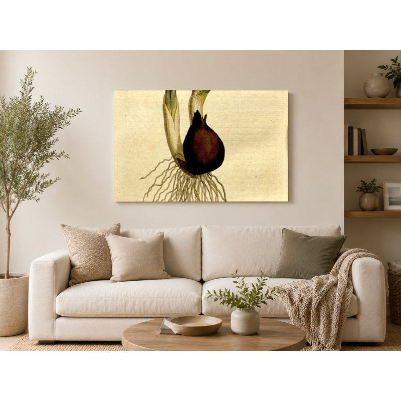 Botanical Magazine Plate 153 - Colchicum Autumnale - Art mural sur toile paysage