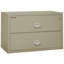 Fireproof 2 - Drawer File Cabinet-217290-331550