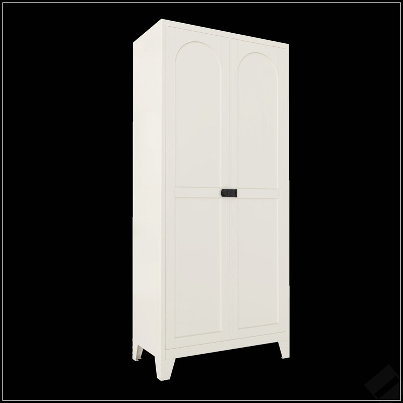 Armoire de rangement sécurisée en métal à 2 portes avec tablettes réglables et serrure, parfaite pour l'organisation à la maison et au bureau