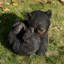 Animals Weather Resistant Polyresin Garden Statue