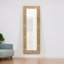 Miroir mural 62 po x 22 po
