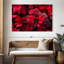 Poinsettia rosé-170678027