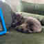 Photos des clients 1 de 1