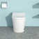 Smart Toilet With Bidet Built In