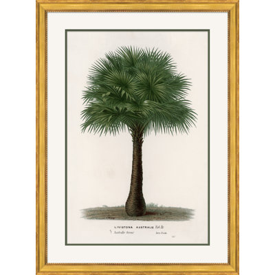 Cadre photo «Palms 3»