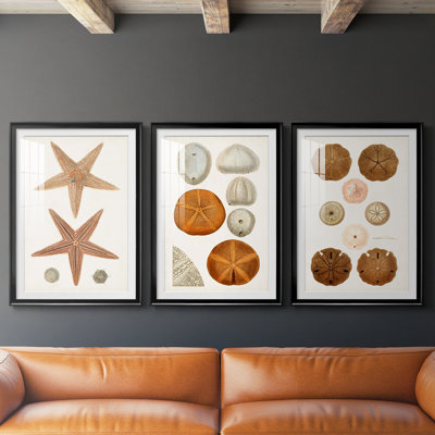 Coastal Curiosity I -Custom Framed Premium Print W Matt - 3 Pieces