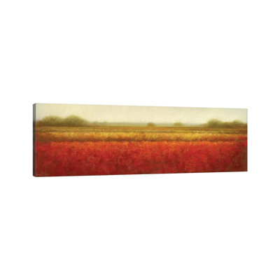Field Of Poppies by Hans Dolieslager - Wrapped Canvas Panoramic Painting