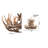 Whitson 9 - Light Brown Antler Chandelier