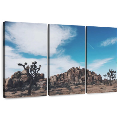 Rorry Joshua Tree Mastodon Peak