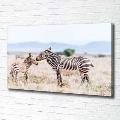 Zebras In The Mountains - Wrapped Canvas Print