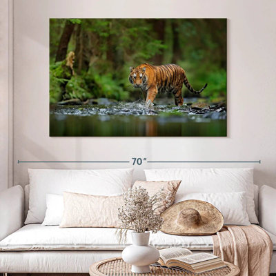 Brampt Tiger In The River