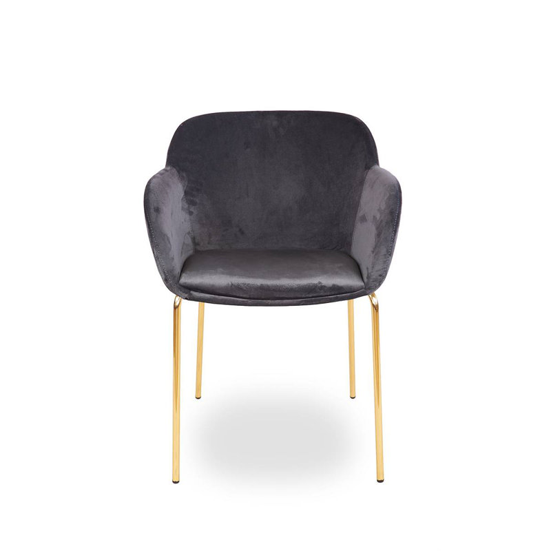 Orason 43cm H Velvet Upholstered Armchair, Grey, Gold