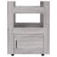 60 Cm Kitchen Trolley-1966200242
