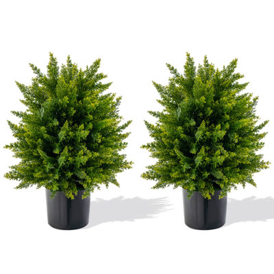 55cm Faux Pine Plant in Pot