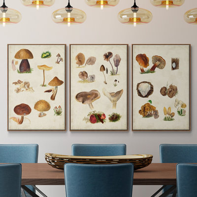 Mushroom Species I