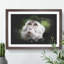 Macaque Monkey - Picture Frame Graphic Art-62802281-62802277