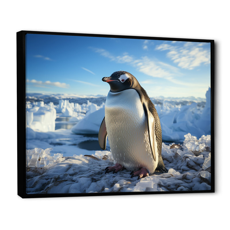Pingouin qui se dandine d'élégance sur toile, Cadre flottant noir, H 12 po x l 20 po x P 1 po