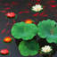 Arrangement de mousse
