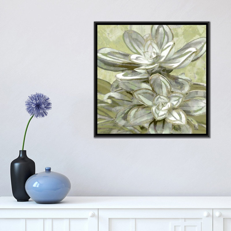 «Succulent VIII», impression sur toile, H 18 po x l 18 po x P 1,5 po, Toile avec cadre noir, Pas de tapis