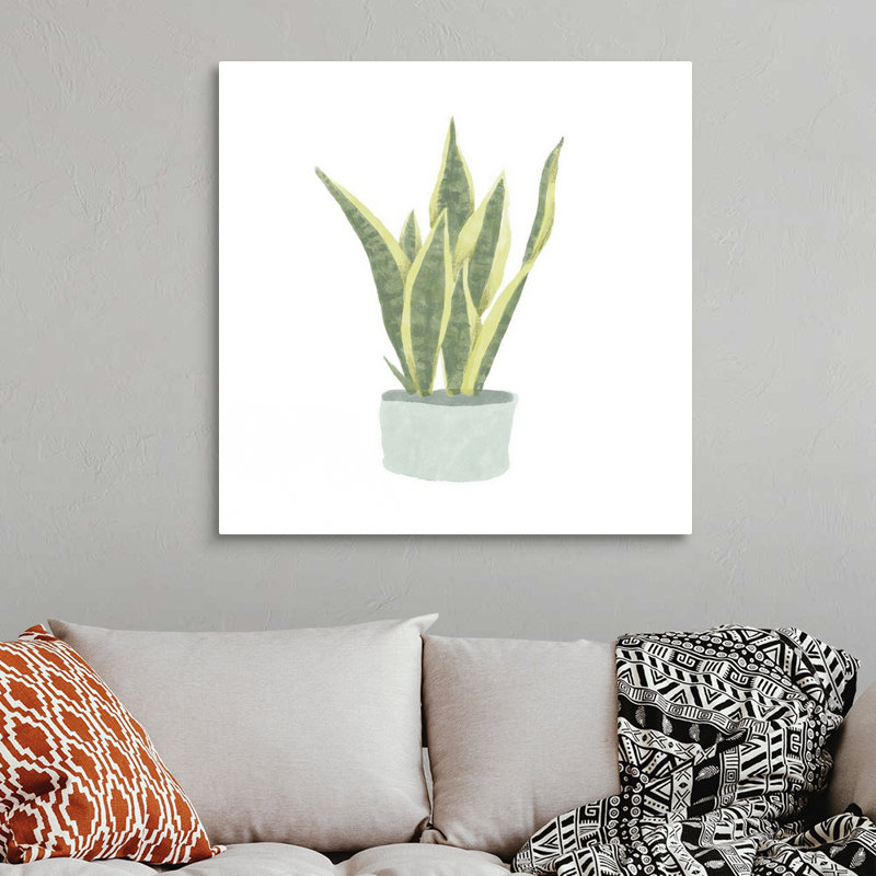 Art mural sur toile Snake Plant III, H 36 po x l 36 po, Toile tendue