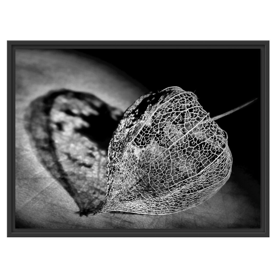 Gerahmtes Wandbild Schatten einer Physalis