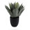 Faux Potted Artichoke Agave Plant