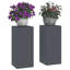 Plant Stand-1018323105-1018323111