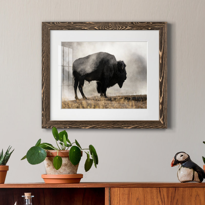Geyser Basin - Single Picture Frame Print, Walnut Framed Paper, 20" H x 24" W x 1" D