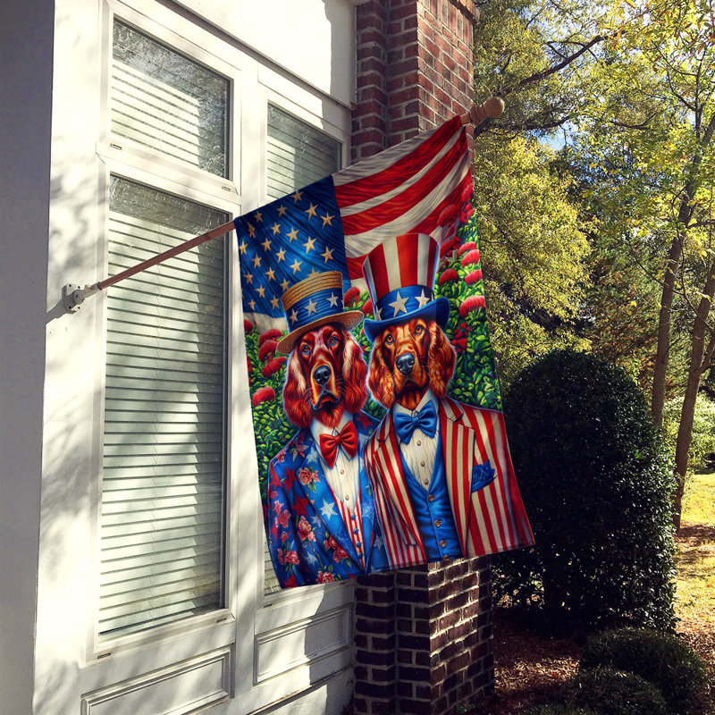 Drapeau «All American House», Setter irlandais