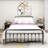 Hidalgo Metal Platform Bed-118303752-118303755
