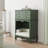Multi-Functional End Table-Green