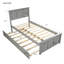 Lit plate-forme avec lit gigogne-1557107885