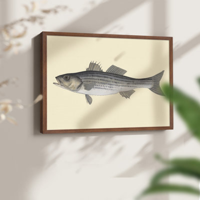 Saltwater Species I -Framed Print - Restickable