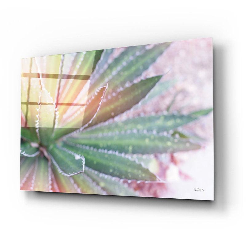 «Dream Desert», art mural en verre acrylique 1 po par Sue Schlabach, H 16 po x l 24 po x P 0,2 po