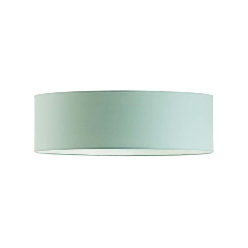 Audrionna Flush Mount, Mint, 20cm H x 40cm W x 40cm D