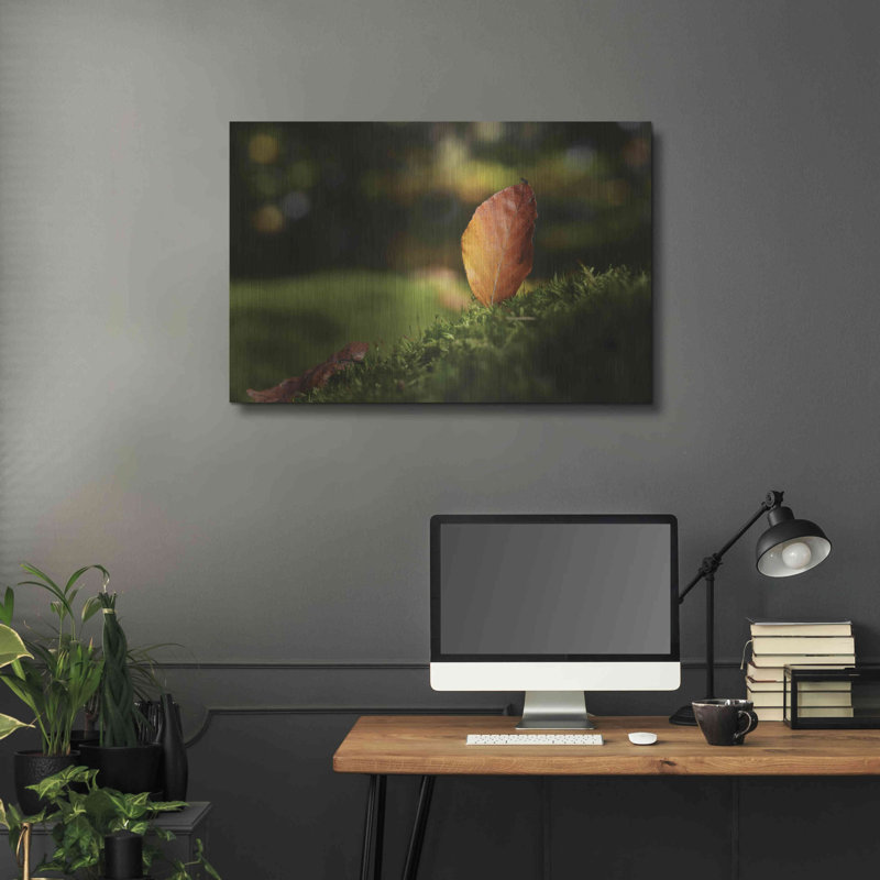 «Leaf And Ant» par Philippe Sainte