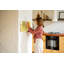 Magnetic Glass Dry Erase Board
