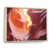 Natural Floater Framed